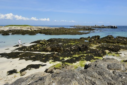 France, Finistère (29), La Foret Fouesnant, archipel des Glénan, Ile aux Moutons