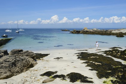 France, Finistere, La Foret Fouesnant, Glenan islands, Ile aux Moutons