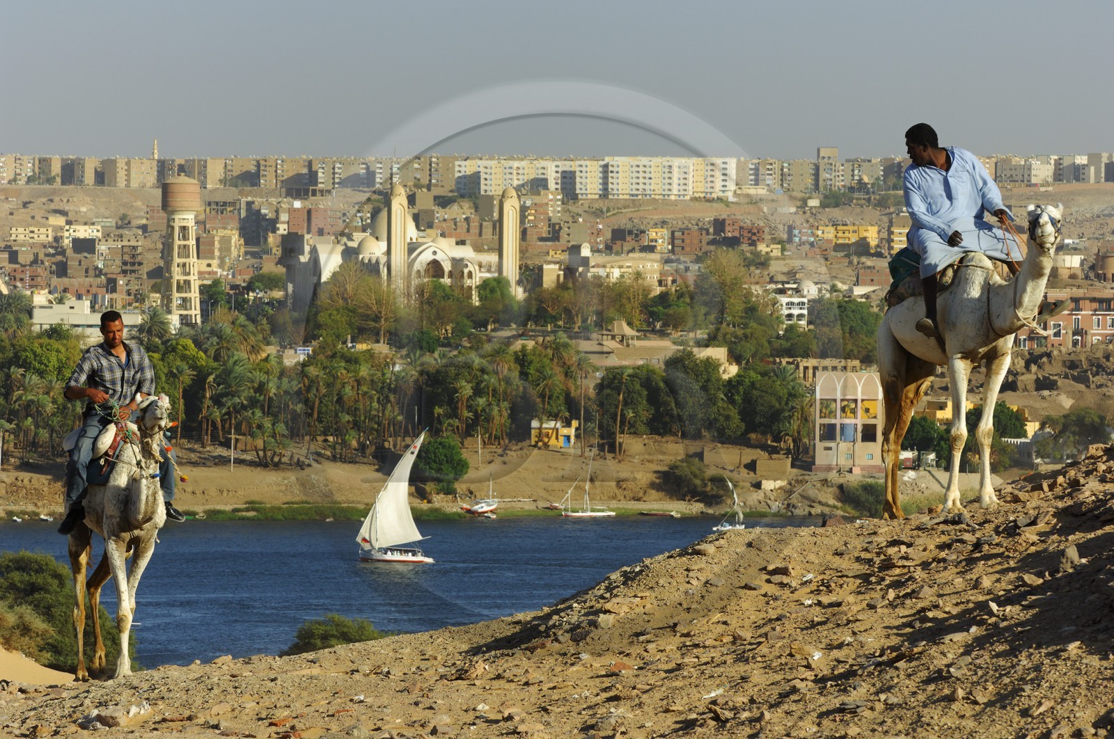 Egypte, Haute Egypte, Nubie, vallée du Nil, Assouan, la ville et chamelier sur les dunes de sables de la rive gauche