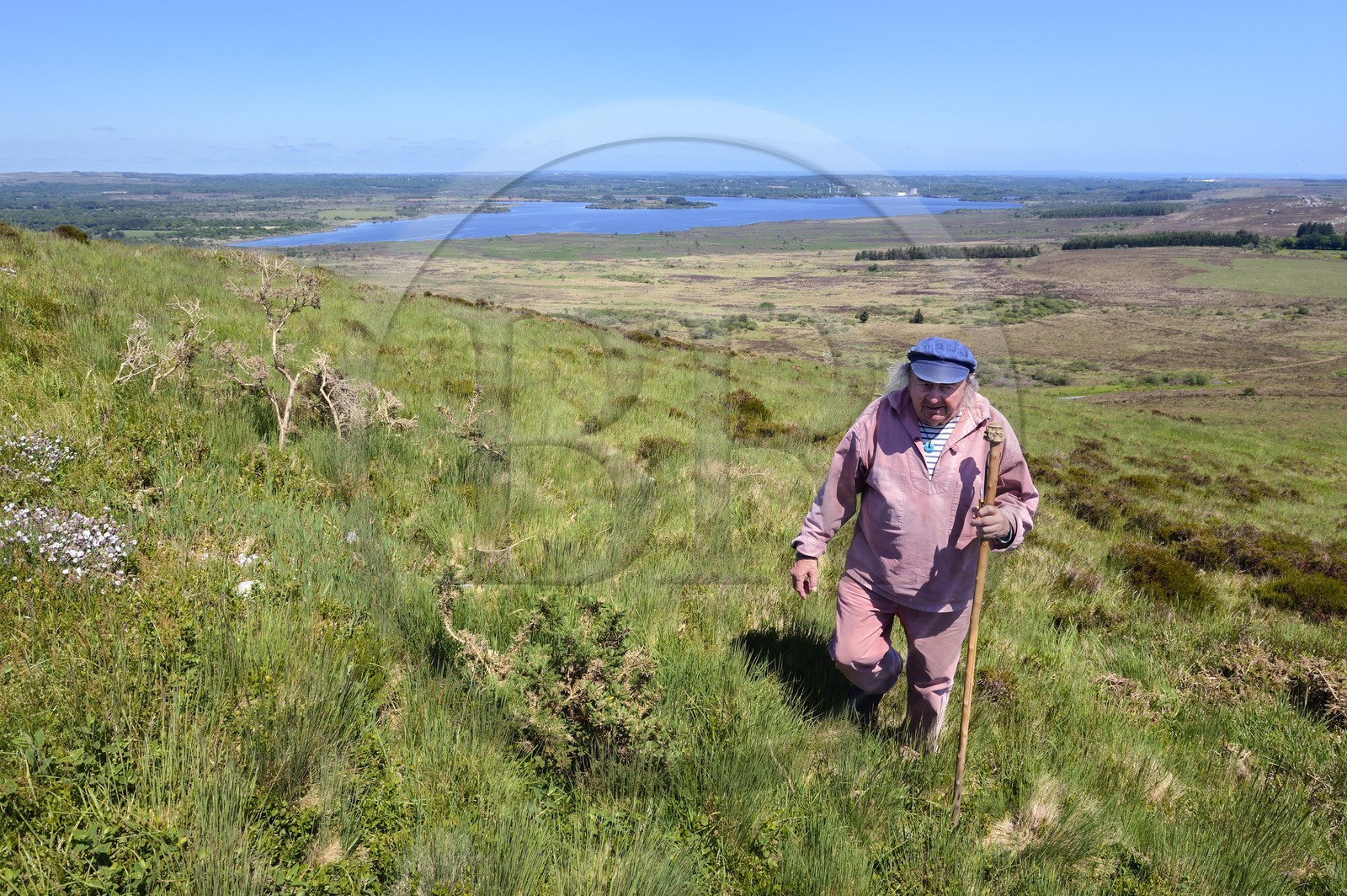 France, Finistère (29), parc naturel régional d'Armorique, Monts d'Arrée, Brasparts, montagne Saint Michel (Menez Mikaël), le conteur Claude Le Lann devant le réservoir de Saint-Michel