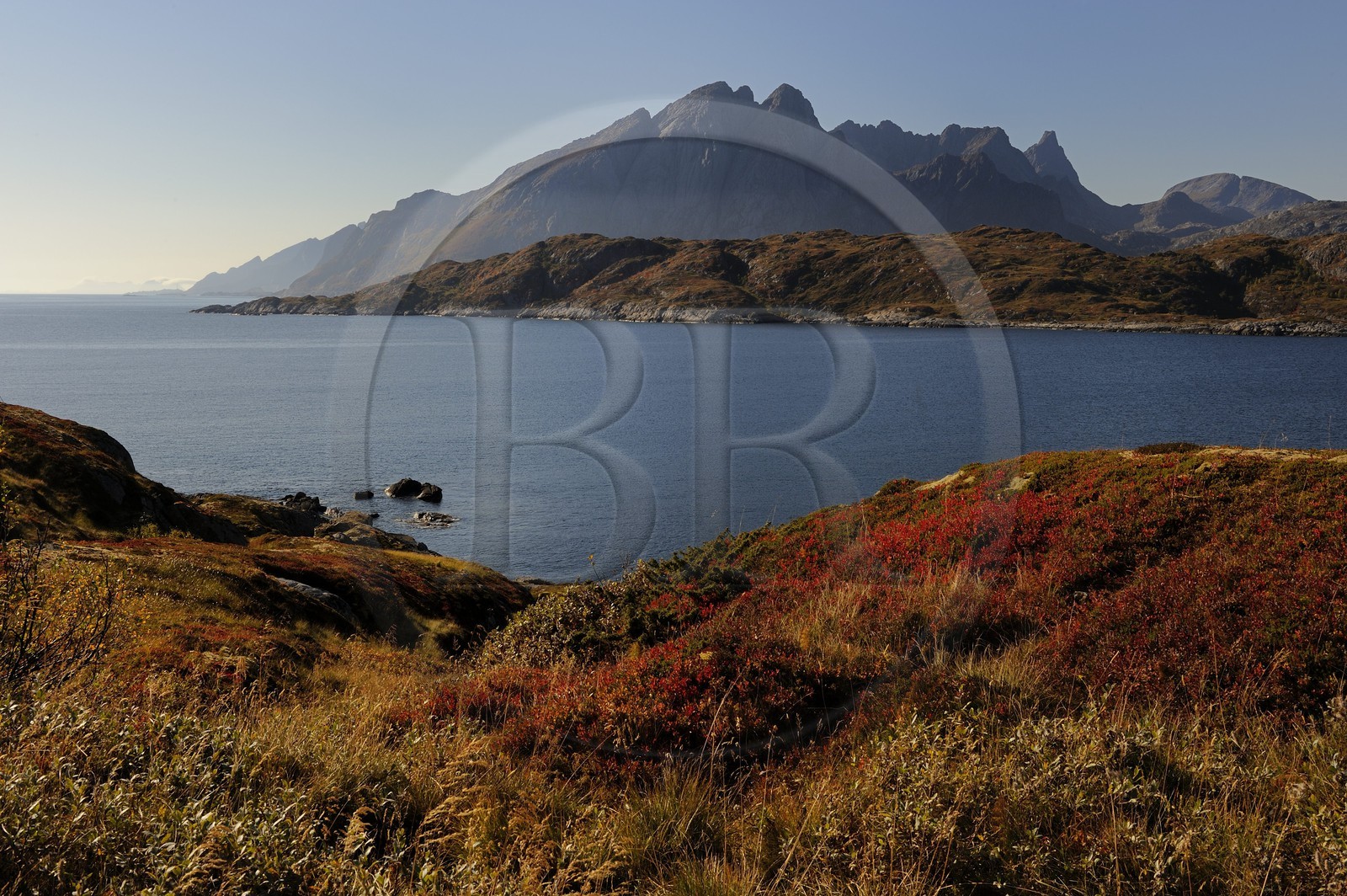 Norvège, Nordland, Iles Lofoten, Ile de Flakstadoy, pointe de Kunna sur le Skjelfjorden
