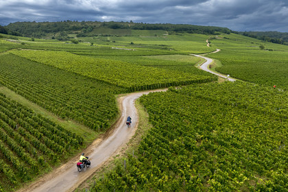 France, Côte-d'Or (21), Paysage culturel des climats de Bourgogne classés Patrimoine Mondial de l'UNESCO, vignoble de la Côte de Nuits, cyclotourisme sur la Route des Grands Crus à Vosne-Romanée