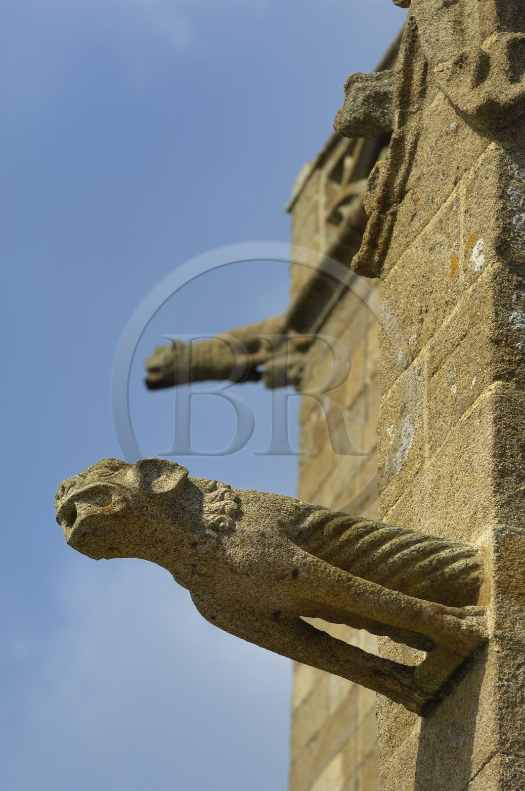 France, Manche, Cotentin, Granville, the Haute Ville (Upper town), Notre Dame de Cap Lihou Church gargoyle