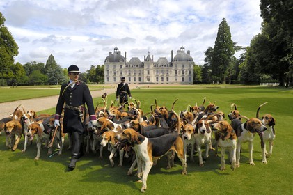 France, Loir et Cher, Chateau de Cheverny, the hunstmen Vol au Vent and La Rosée, who manage the pack of 90 dogs for hunting