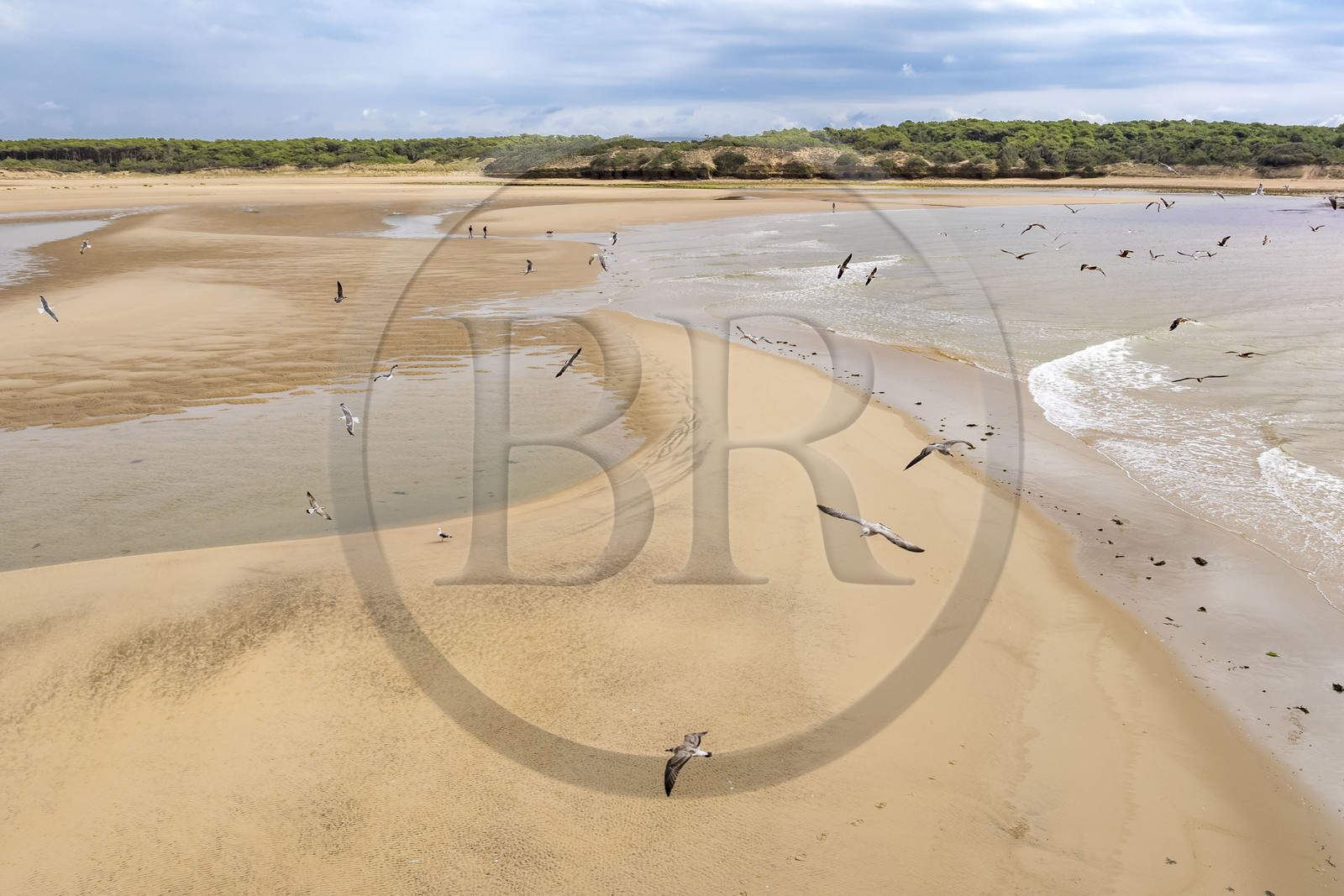 France, Vendée (85), Talmont Saint Hilaire, la Pointe du Payré, walkers and seagulls on the Veillon beach and estuary of the Payré river (aerial view)