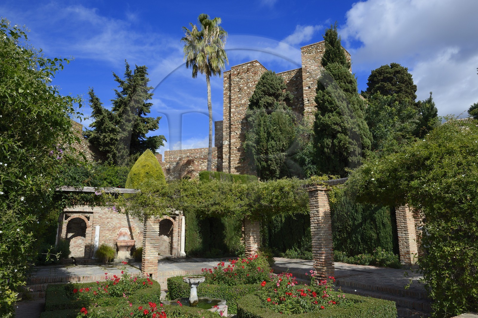Espagne, Andalousie, Malaga, la Alcazaba, patio de Armas