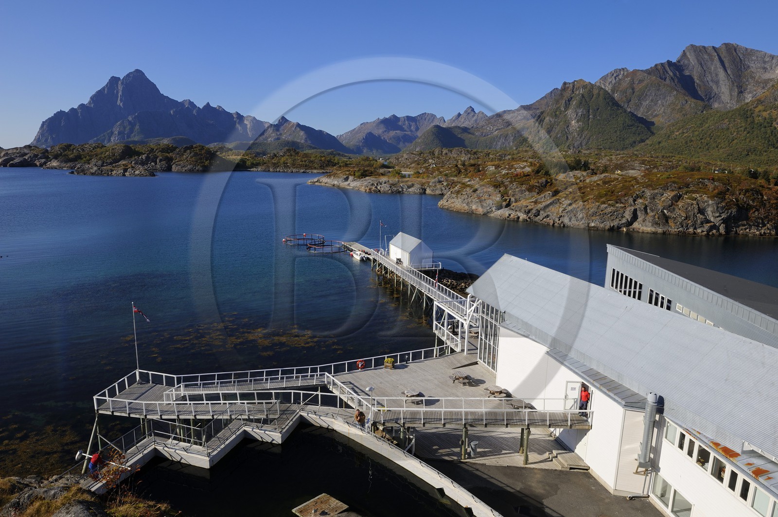 Norvège, Nordland, Iles Lofoten, Kabelvag - Storvagen, aquarium des Lofoten (Lofotakvariet)