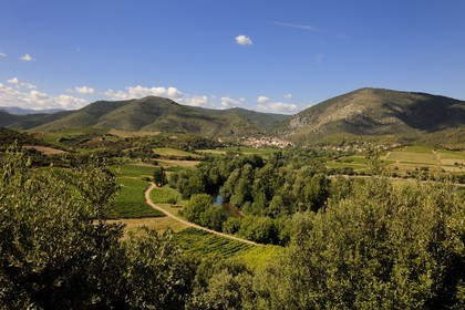 France, Herault, Orb river valley, village of Roquebrun in the distance and AOC Saint-Chinian & Roquebrun