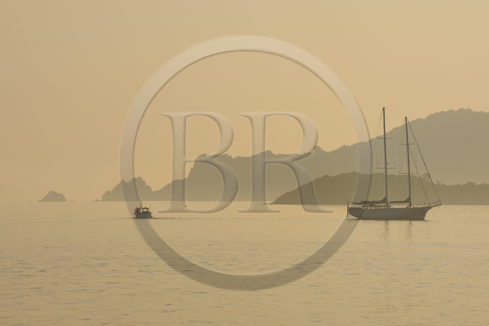 France, Var (83), Iles d'Hyères, parc national de Port-Cros, île de Porquerolles