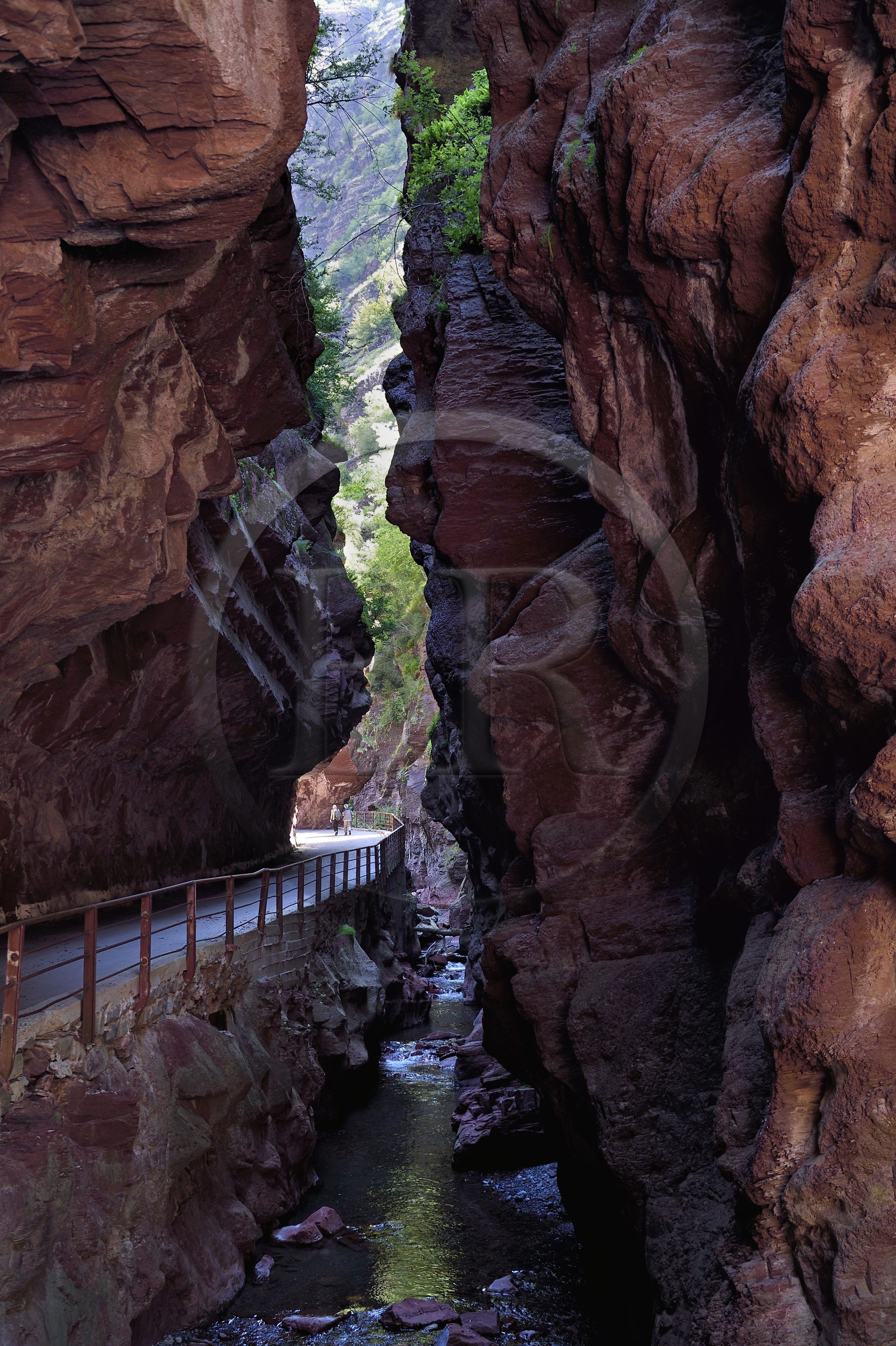 France, Alpes-Maritimes (06), Massif du Mercantour, site natura 2000, Gorges du Cians creusées par le Cians dans des sols de pélite rouge, portion de l'ancienne route aujourd'hui abandonnée au lieu dit La Grande Clue