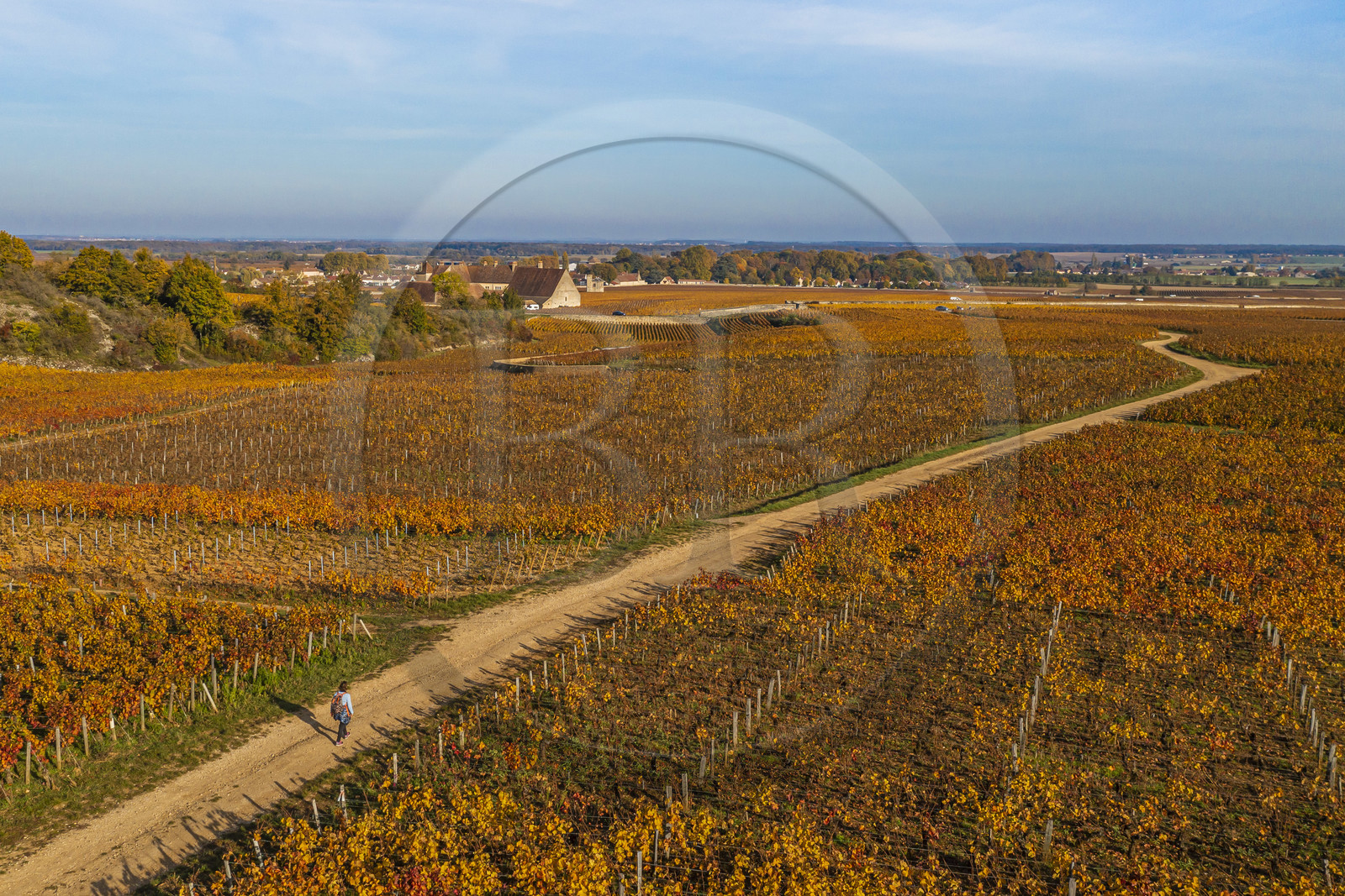 France, Côte-d'Or (21), Paysage culturel des climats de Bourgogne classés Patrimoine Mondial de l'UNESCO, Vougeot, Route des Grands Crus, le vignoble et le chateau du Clos de Vougeot (vue aérienne)