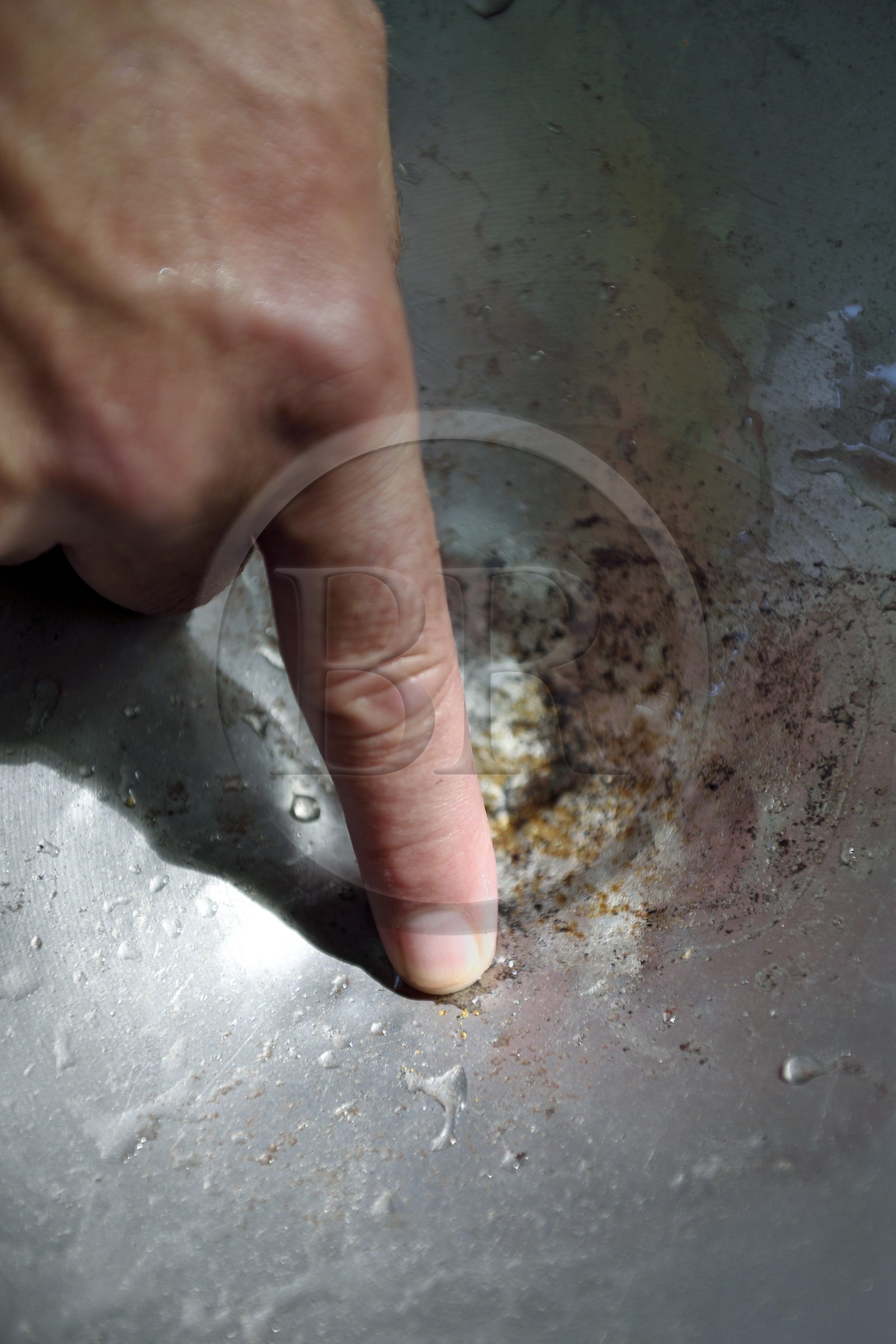 France, Dordogne (24), région de Jumilhac-le-Grand, orpaillage dans la rivière l'Isle vers Tindeix, le chercheur d'or Philippe Roubinet montre des paillettes d'or