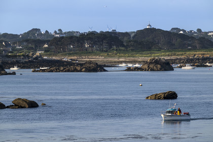 France, Finistère (29), Pays des Abers, iles dans l'estuaire de l'Aber Wrac'h