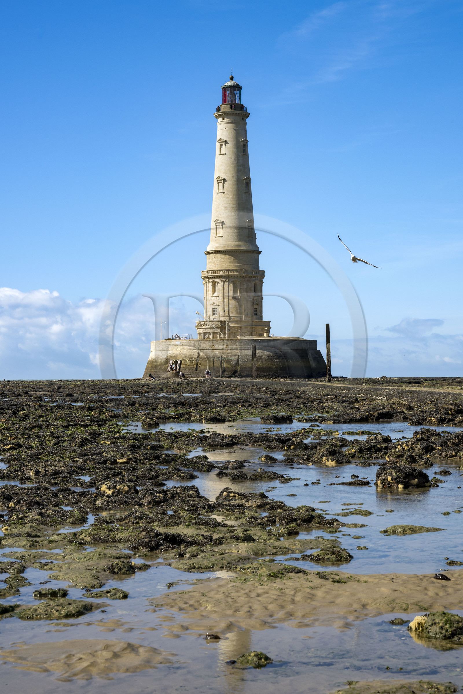 France, Gironde (33), le Verdon-sur-Mer, plateau rocheux de Cordouan à marée basse, phare de Cordouan, classé Patrimoine Mondial de l'UNESCO