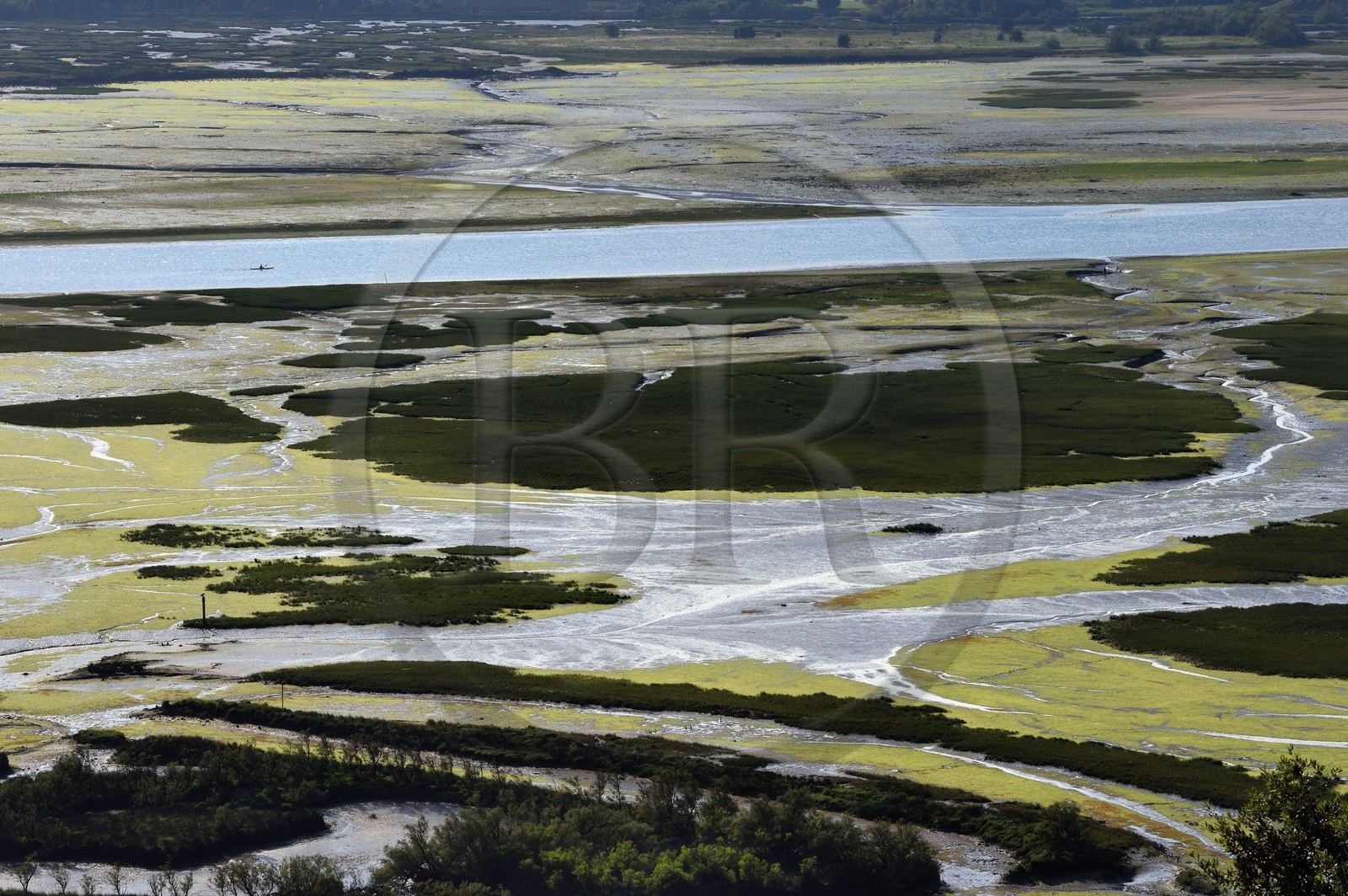 Spain, Basque Country, Biscay Province, Gernika-Lumo region, Urdaibai estuary Biosphere Reserve, estuary of the Oka River at low tide
