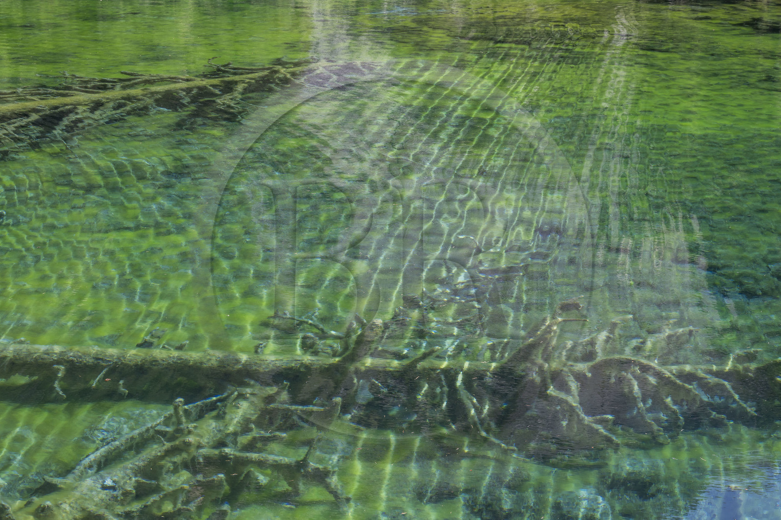 France, Hautes Alpes, Nevache, the Vallée Etroite (Narrow Valley) on the Italian border, Green Lake (alt. 1834 m)