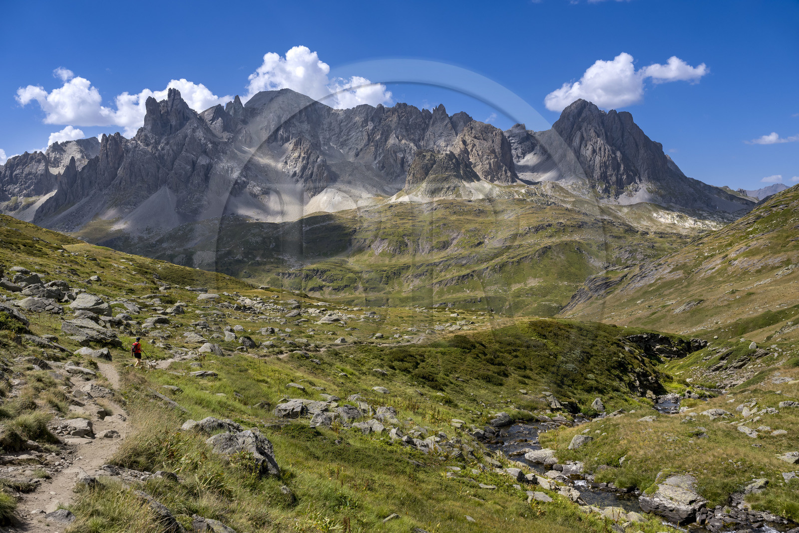 France, Hautes Alpes, Briancon region, Nevache, the upper Clarée valley, hiker with her dogs in the upper Clarée valley, the Cerces massif in the background
