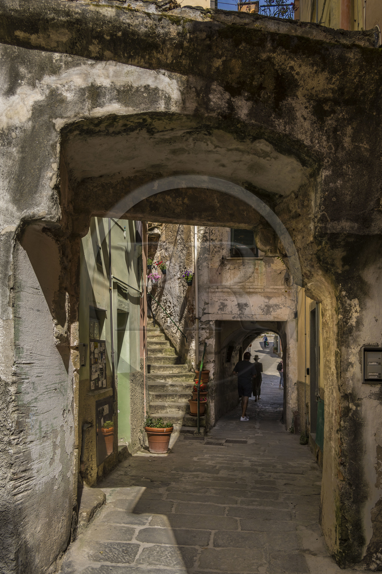 Italy, Liguria, Cinque Terre National Park listed as World Heritage by UNESCO, village of Riomaggiore, one of the many alleys