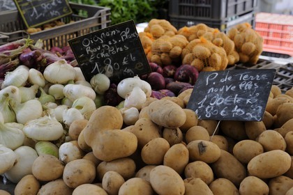 France, Bouches-du-Rhône (13), Aix-en-Provence, marché place de l'Hôtel de ville, étal de légumes bio