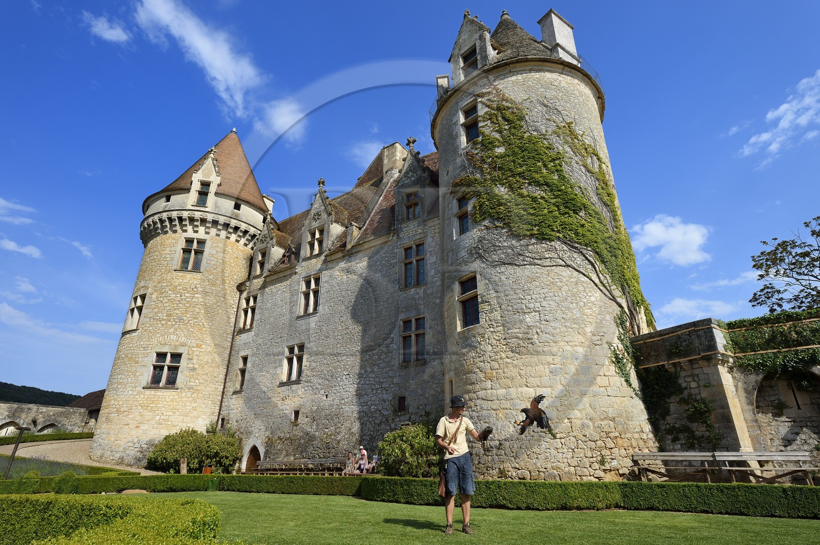France, Dordogne (24), Périgord Noir, vallée de la Dordogne, Castelnaud-la-Chapelle, château des Milandes, ancienne demeure de Joséphine Baker, spectacle de rapaces