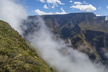 France, Ile de la Reunion, Parc National de la Réunion classé Patrimoine Mondial de l'UNESCO, volcan du Piton de la Fournaise en arrière plan, Foret des Hauts de Mont-Vert au dessus de la vallée de la Rivière des Remparts (vue aérienne)