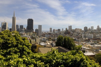 United States, California, San Francisco, Financial District, Transamerica Pyramid Building by the architect William Leonard Pereira