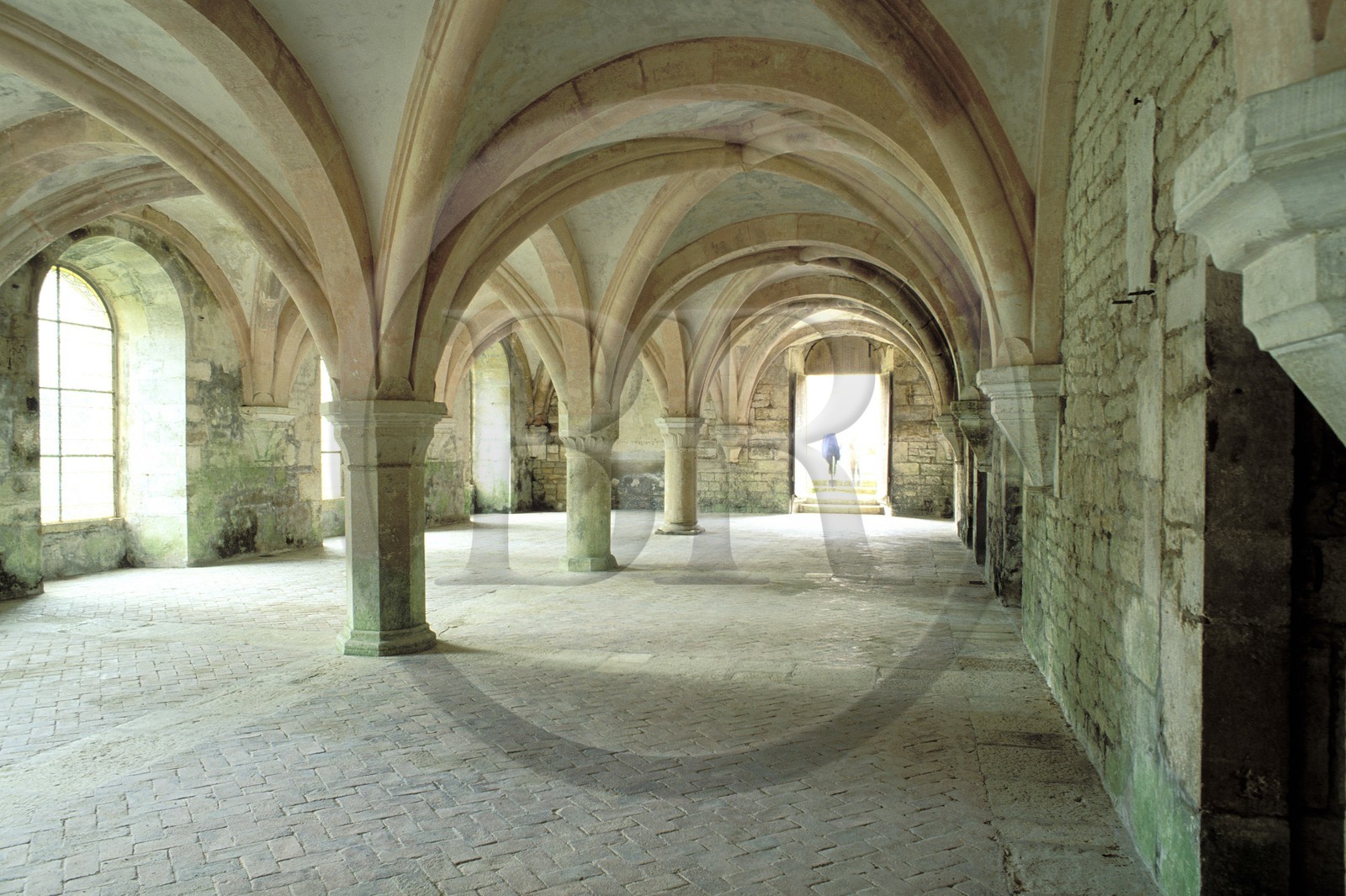 France, Côte-d' Or (21), abbaye cistercienne de Fontenay fondée en 1118, le scriptorium