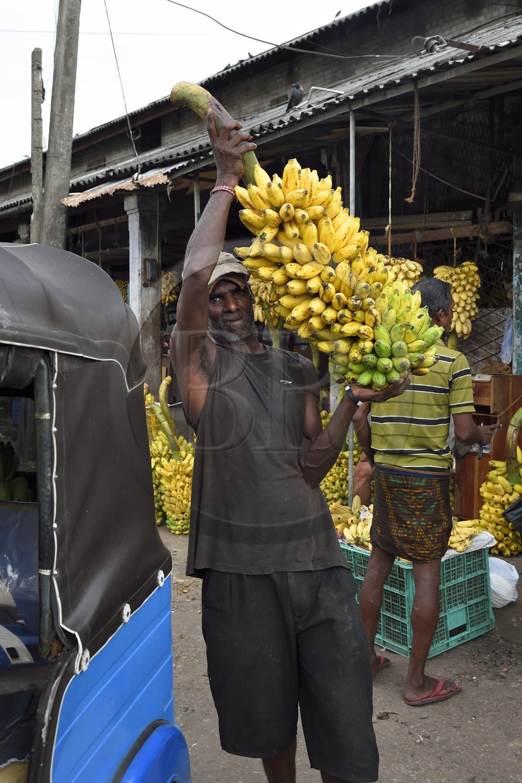 Sri Lanka, province de l'ouest, district de Colombo, Colombo, le marché de fruits et légumes Manning dans le quartier de Pettah