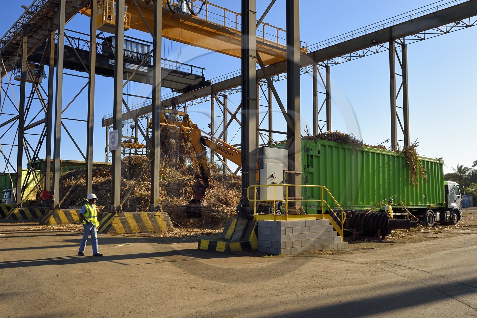 France, Reunion island (French overseas department), Saint-Pierre, Grands Bois, one of the 11 sugar cane reception and collection centers also called Balance, the tractors bring the cane from the fields in trailers, it is then weighed and loaded in large trucks called cachalots to be transported to the sugar factory Gol
