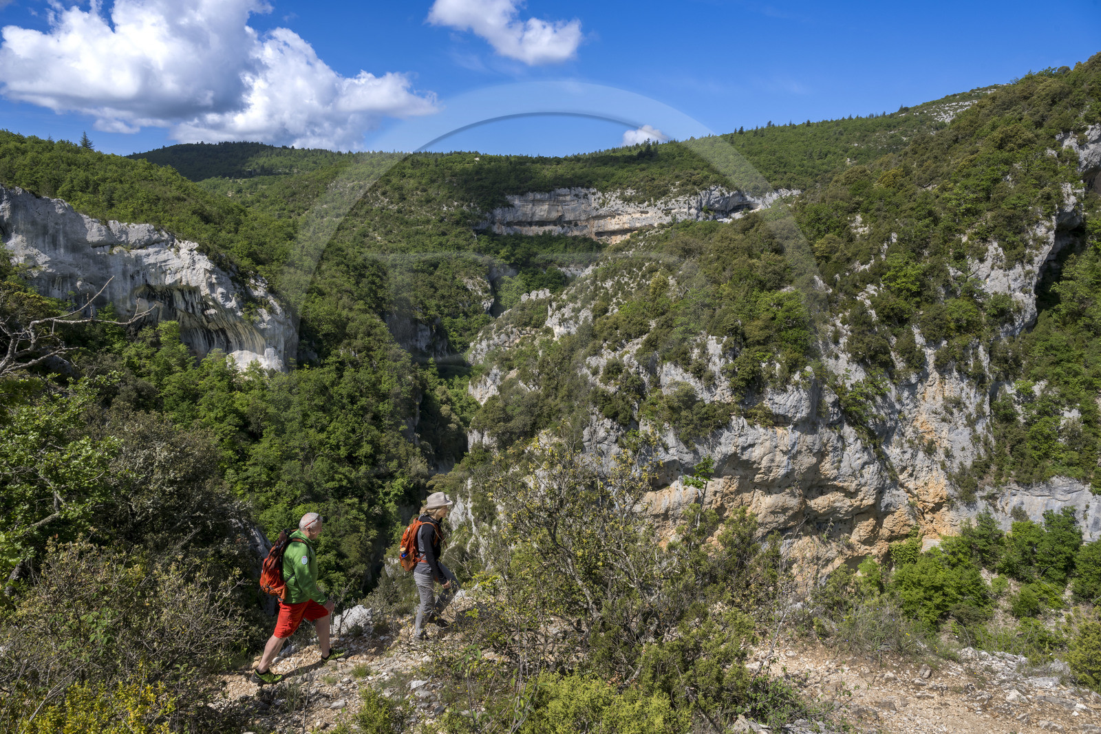 France, Vaucluse (84), Parc naturel régional du Mont Ventoux, Monieux, Gorges de La Nesque, randonneurs progressant sur un sentier sur les hauteurs face au barres rocheuses