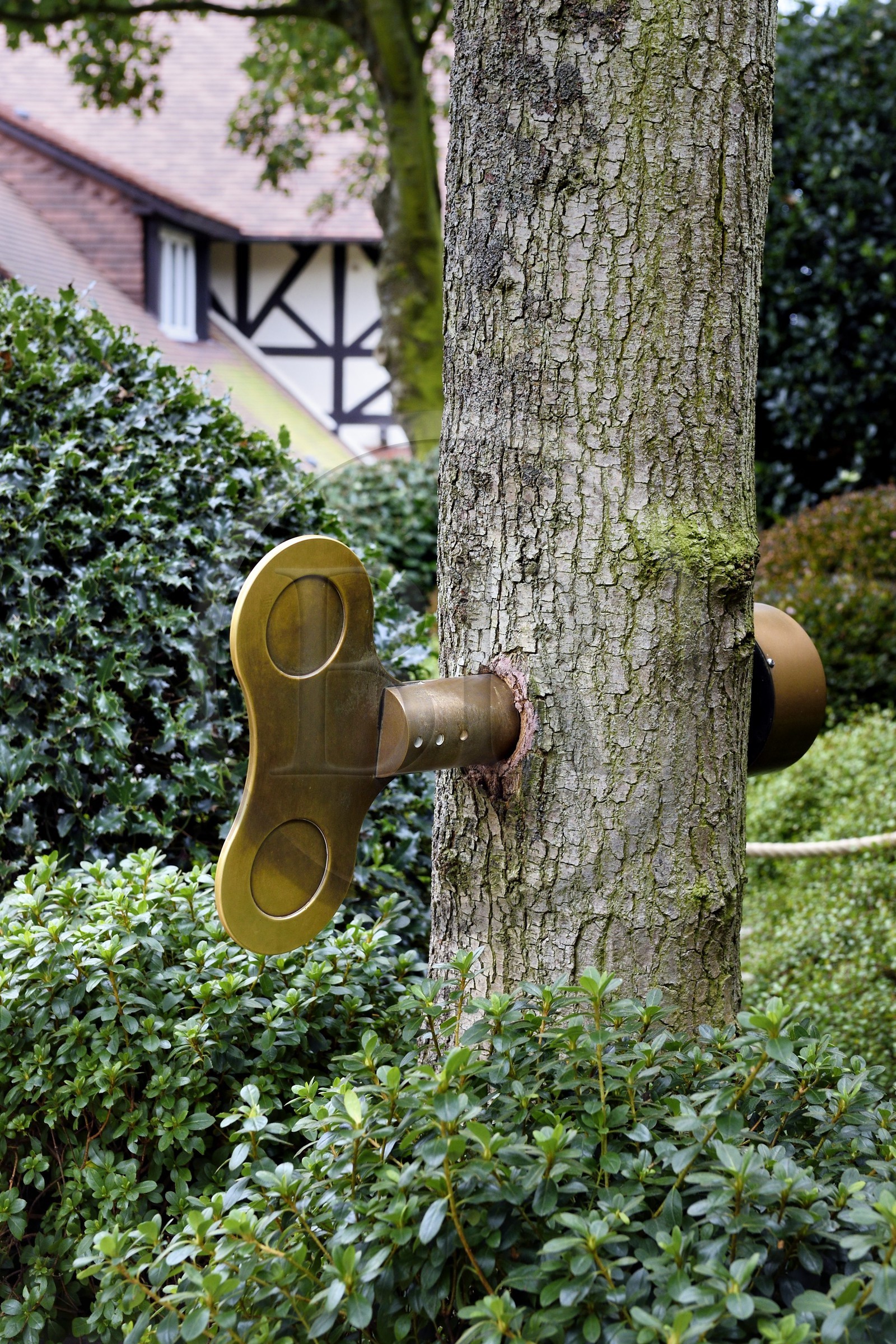 France, Seine-Maritime (76), Pays de Caux, Côte d'Albâtre, Etretat, Les Jardins d'Etretat de Alexander Grivko