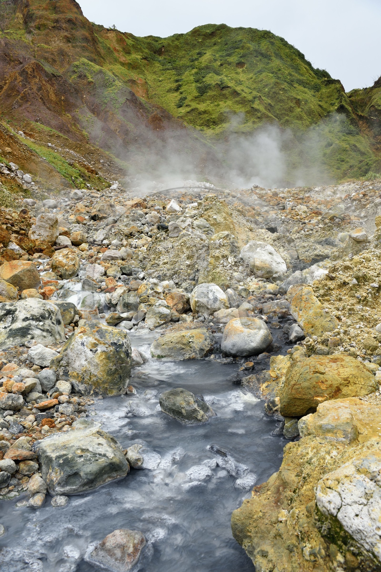 Caraïbes, Ile de la Dominique, Castle Bruce, Parc national du Morne Trois Pitons classé Patrimoine Mondial de l'UNESCO, la Vallée de la Désolation, rivière aux sources d'eau chaude dont la couleur unique est due à la présence de calcium, de carbone, de soufre et de fer, sur le sentier menant au Boiling Lake