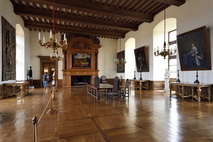 France, Dordogne (24), Périgord Noir, chateau de Hautefort, le salle des cheminées dans les Grands Appartements