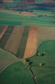 France, Saône-et-Loire (71), Mâconnais, croisée de chemins entre près et champs (vue aérienne)