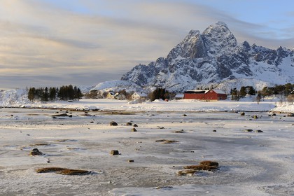 Norvège, Nordland, Iles Lofoten, paysage d'une baie gelée en hiver sur l'Ile de Vagan