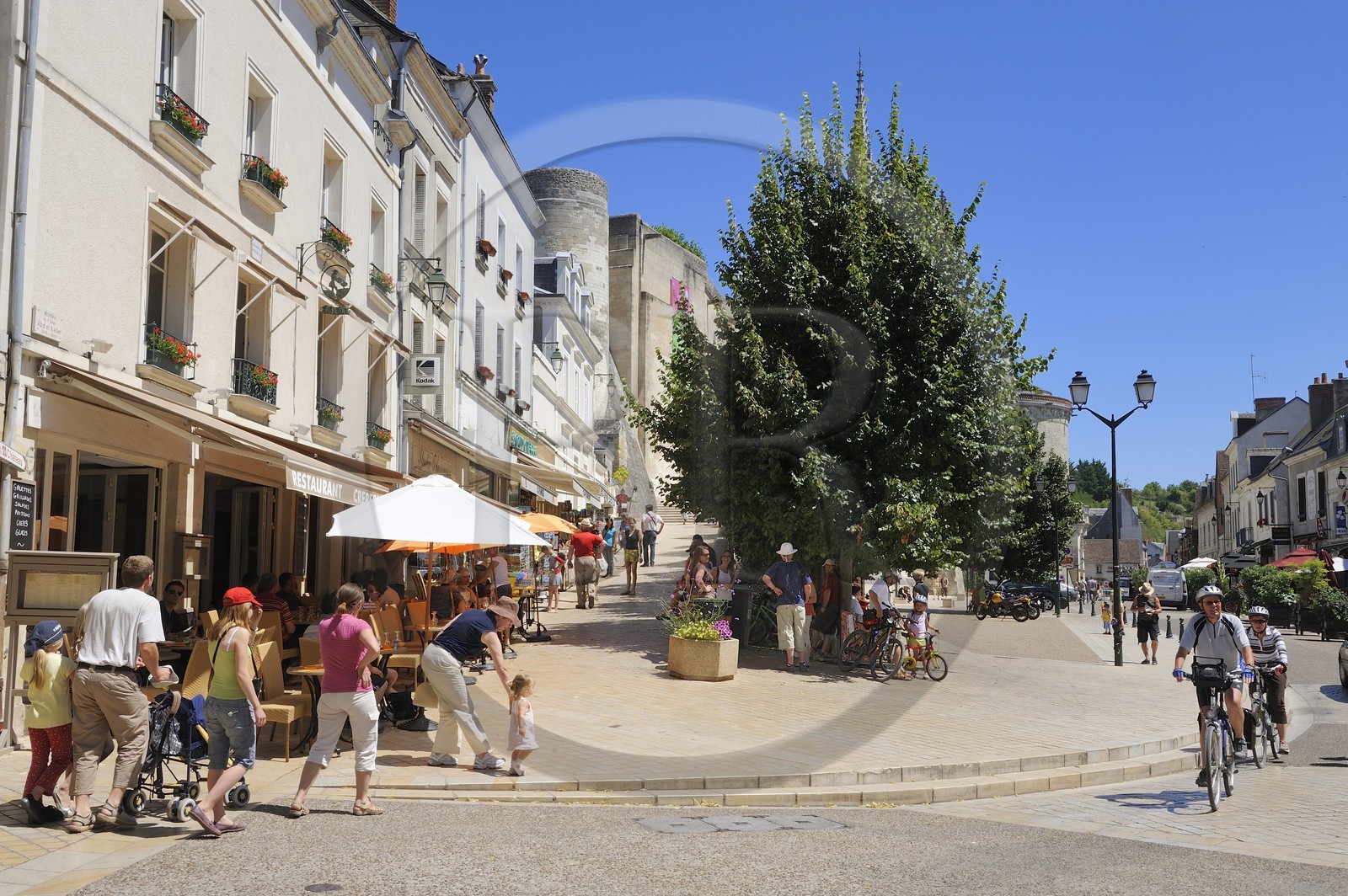 France, Indre et Loire, Loire Valley listed as World Heritage by UNESCO, Amboise