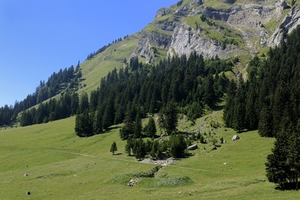 Suisse, canton de Vaud, Villars-sur-Ollon, vallée de Solalex dans le Parc naturel des Muverans