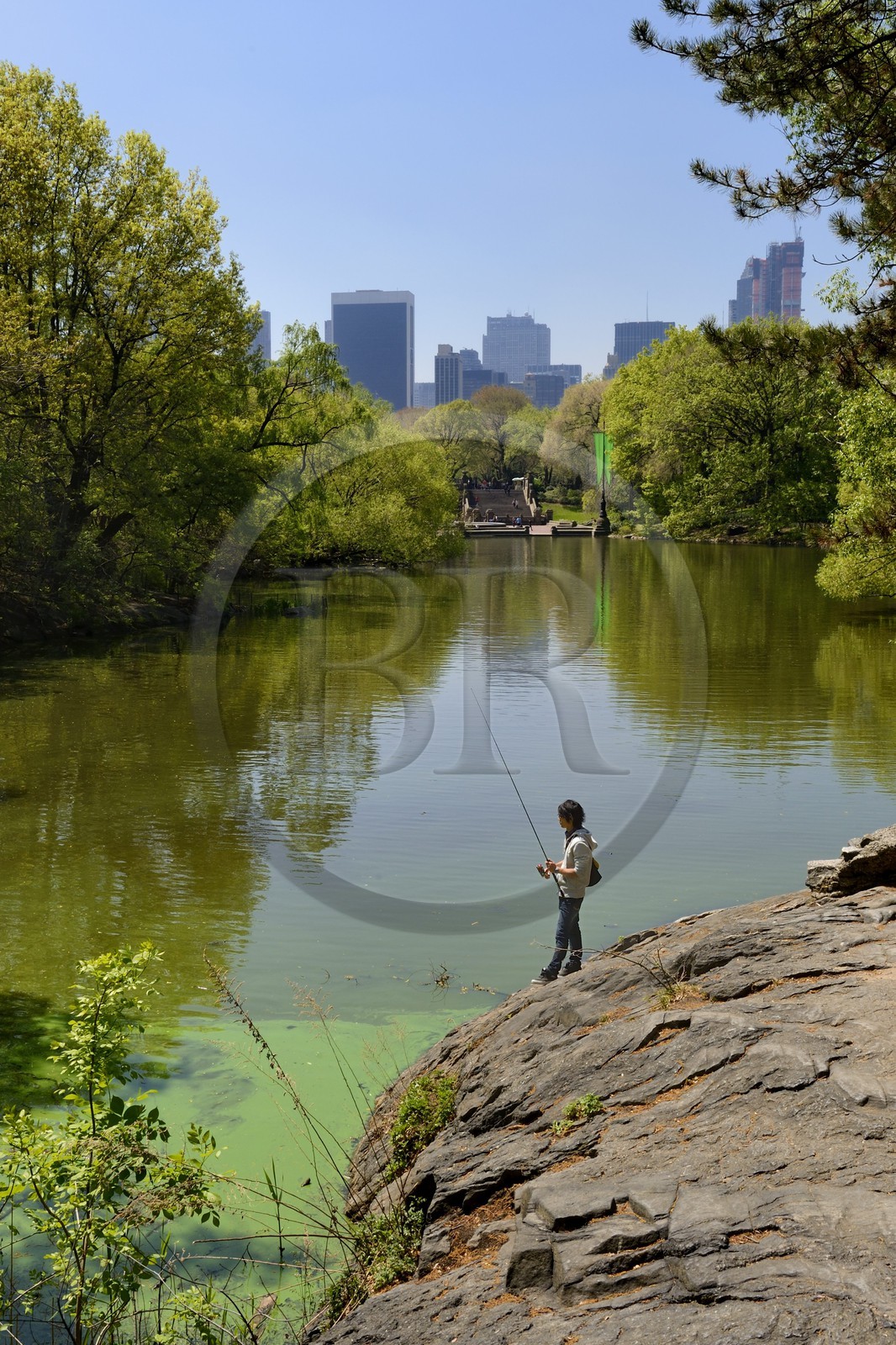 Etats-Unis, New York, Manhattan, Central Park, pêcheur au bord du Lac et les immeubles de Midtown en arrière plan