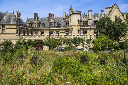 France, Paris (75), Musée de Cluny - Musée national du Moyen-Age vu depuis le square de la rue des Ecoles