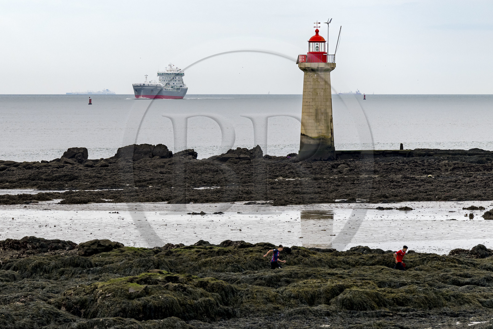 France, Loire Atlantique, Estuaire de la Loire, Saint Nazaire, Villès-Martin shore lighthouse
