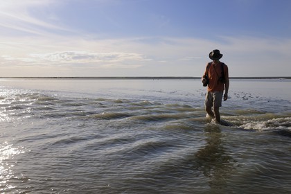 France, Manche (50), traversée à pied de la Baie du Mont-Saint-Michel, classé Patrimoine Mondial de l'UNESCO