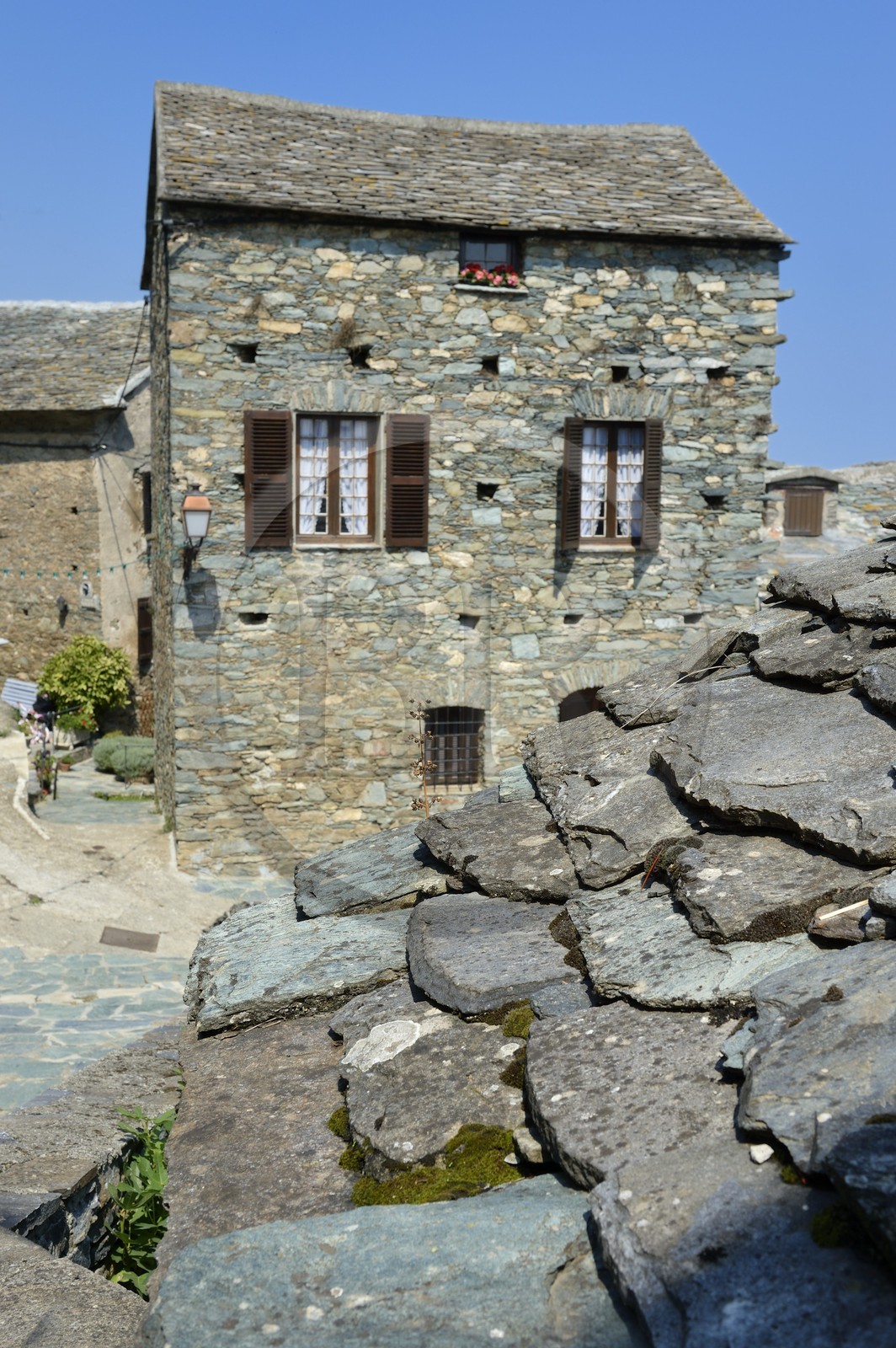 France, Haute-Corse (2B), région de la Casinca en Castagniccia, village de Loreto di Casinca, toit de lauzes, dalles de schiste lustré appelées teghje