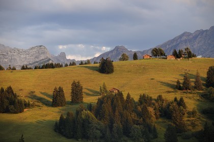 Suisse, canton de Vaud, Villars-sur-Ollon au Col de la Croix