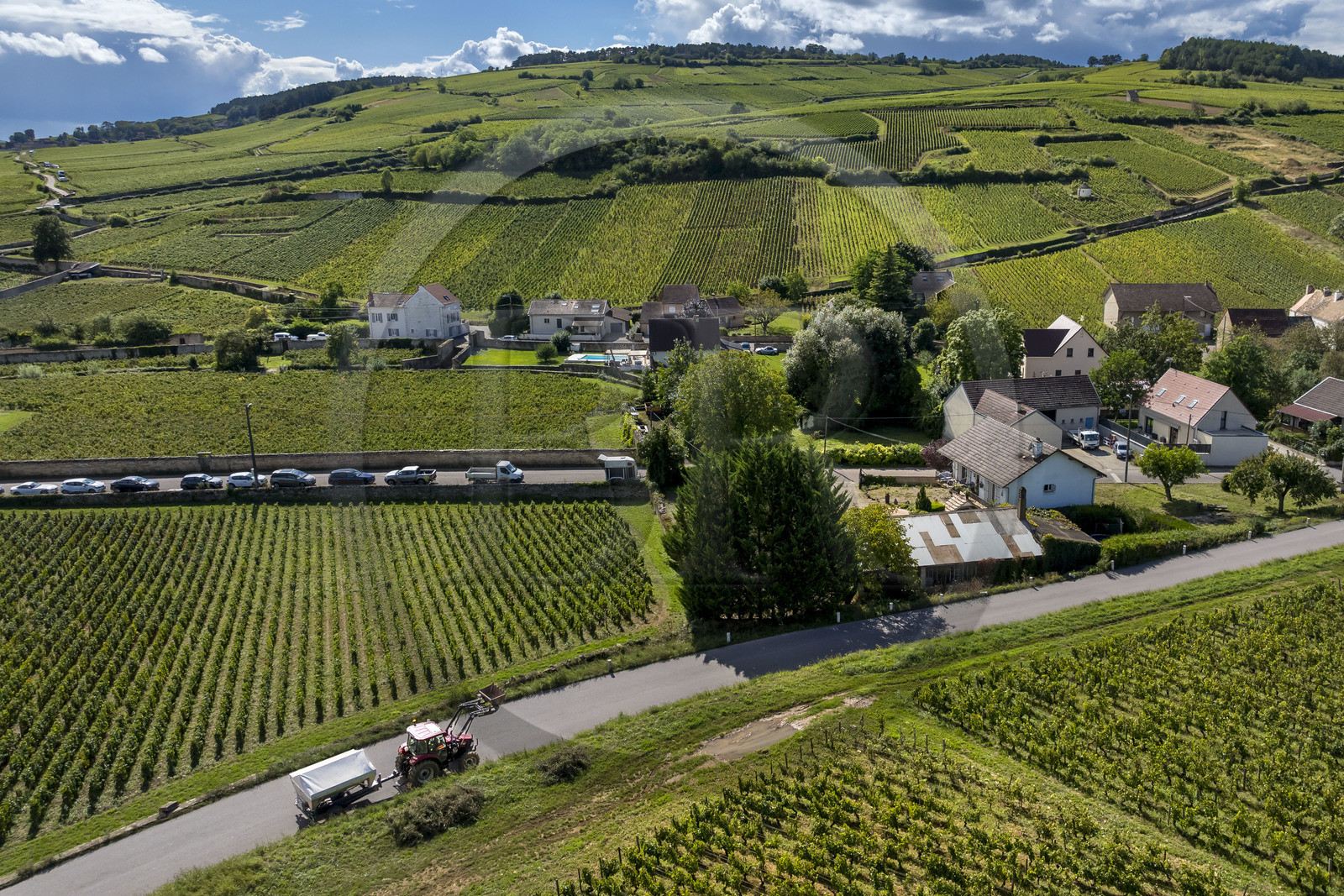 France, Côte-d'Or (21), les climats de Bourgogne classés Patrimoine Mondial de l'UNESCO, Route des Grands Crus, vignoble de la Côte de Beaune, Pommard, vignoble où les Hospices de Beaune possèdent des parcelles (vue aérienne)