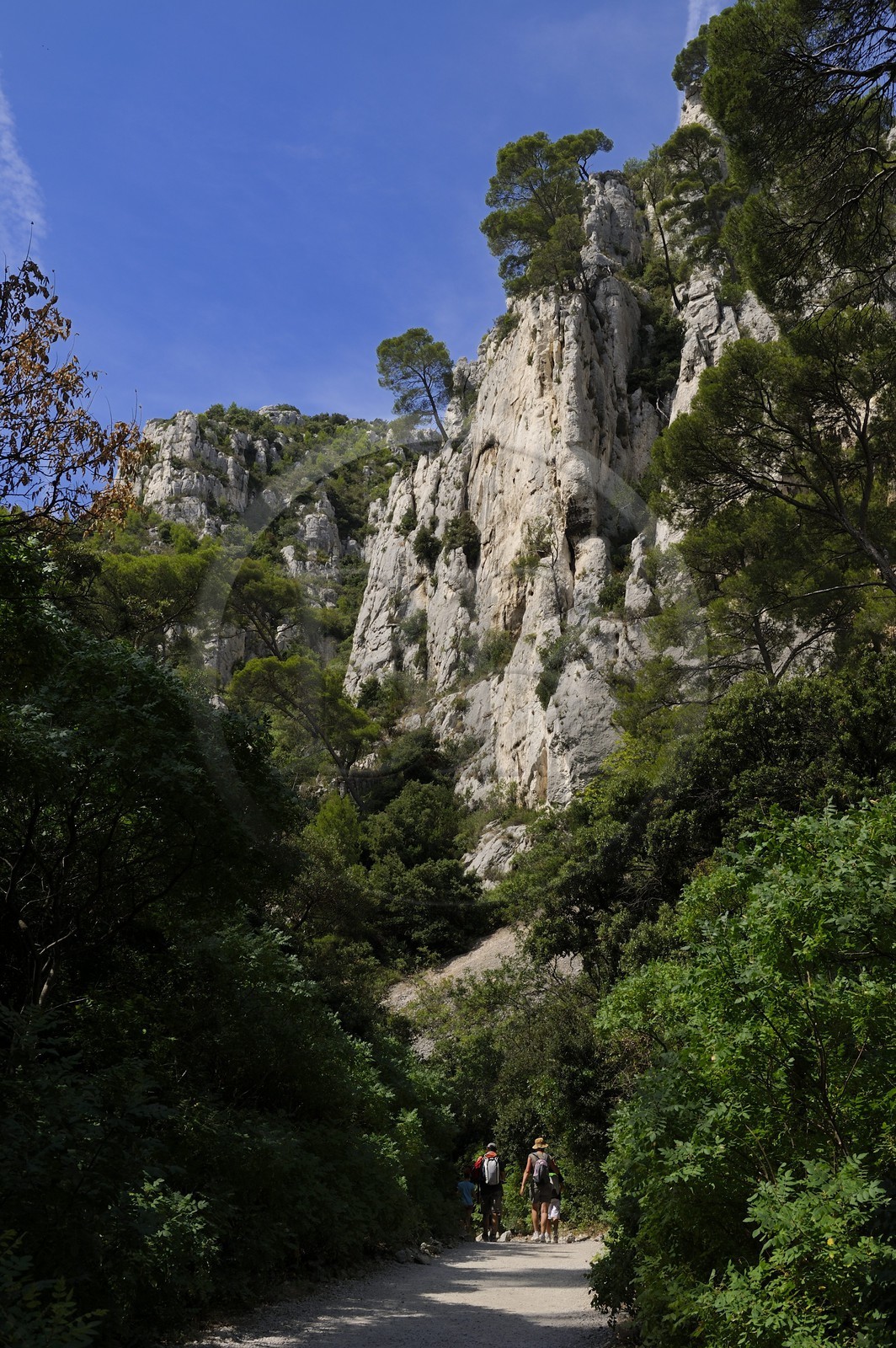 France, Bouches du Rhone, Cassis, the path leading to the En Vau creek (calanque)