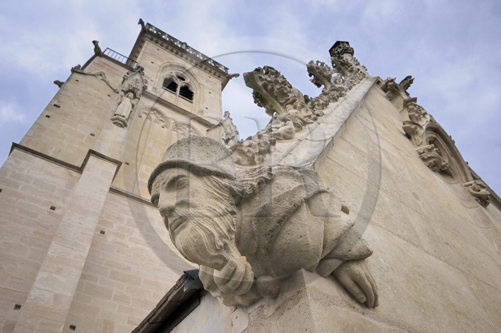 France, Côte d'Or (21), Semur-en-Auxois, l'église Notre-Dame, gargouille