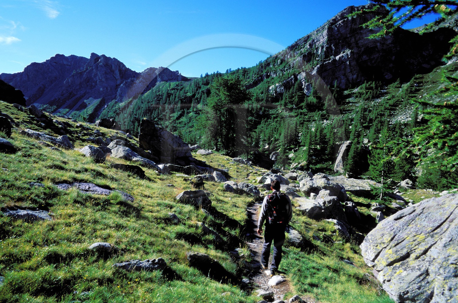 France, Alpes-Maritimes (06), parc national du Mercantour, Vallée des Merveilles vers Fontanalbe, un Randonneur