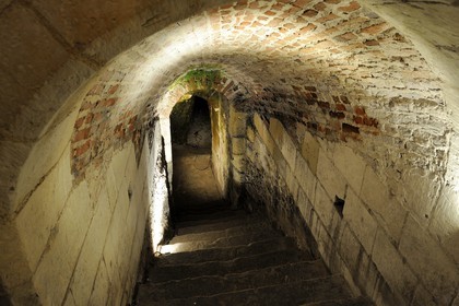 France, Indre-et-Loire (37), vallée de la Loire classée Patrimoine Mondial par l'UNESCO, Amboise, château du Clos Lucé (dernière demeure de Léonard de Vinci), entrée des souterrains