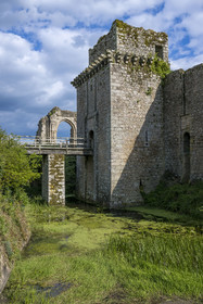 France, Vendée (85), Tiffauges, le chateau de Tiffauges,  ancien chateau fort en ruines où résida Gilles de Rais