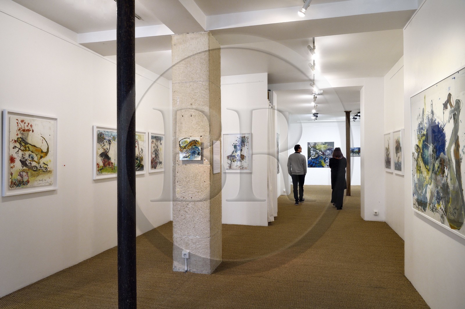 France, Paris, Galerie Schwab Beaubourg, galerie d'Art contemporain, exposition de l'artiste Emmanuelle Renard